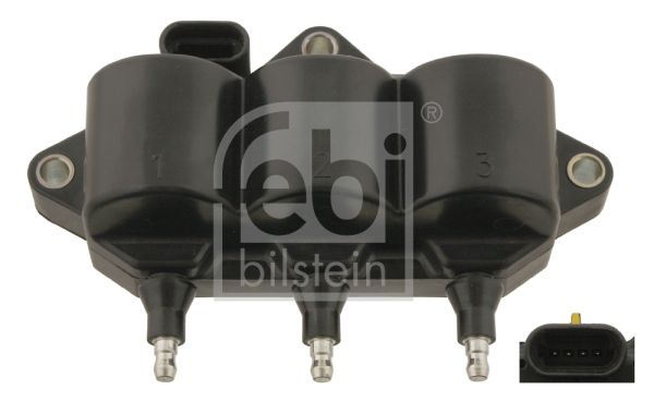 FEBI BILSTEIN ritė, uždegimas 30267